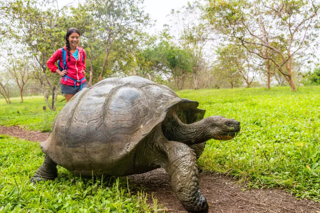 Galápagos: Um safári aquático entre bichos de outro mundo - Family