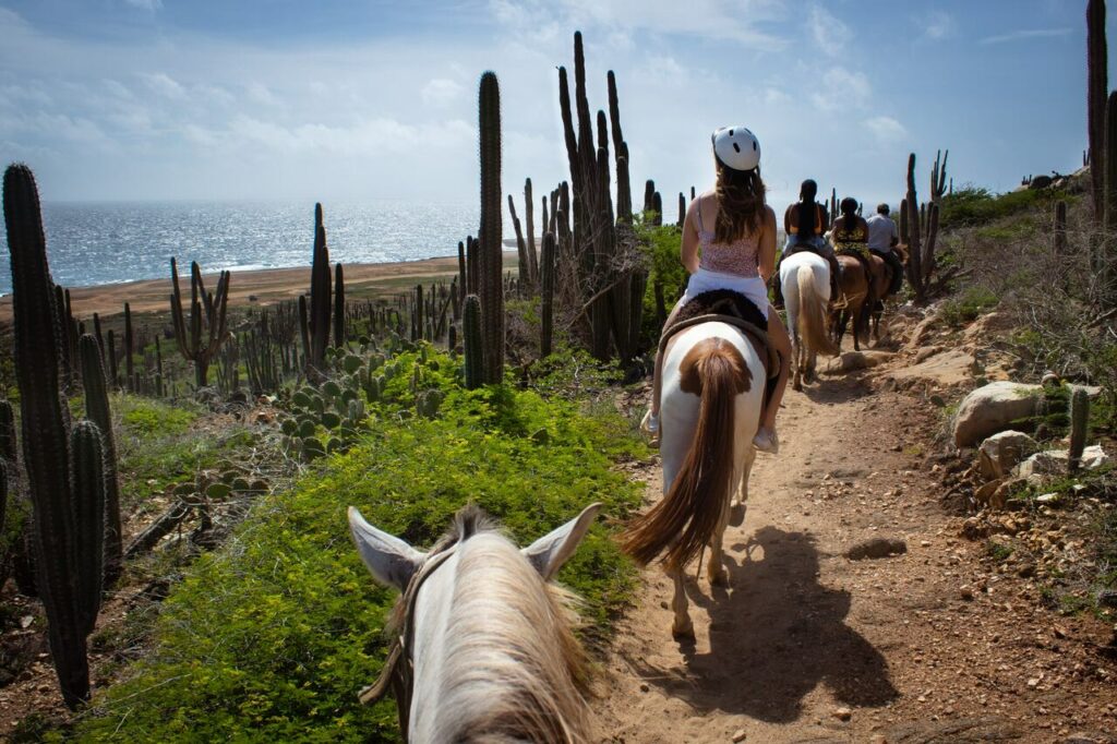 passeio-a-cavalo-em-Aruba