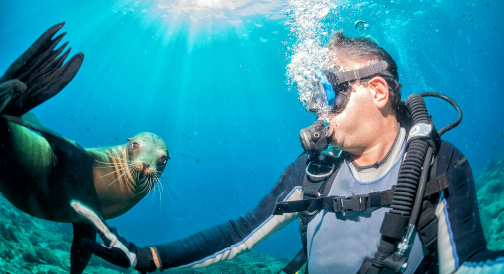 mergulhador-com-leao-marinho-em-Galapagos