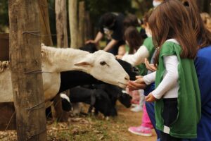 hotel-fazenda-mazzaropi