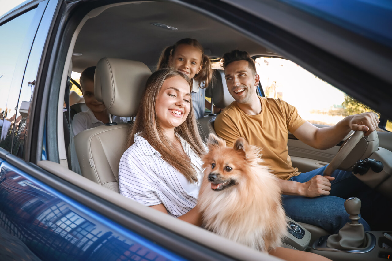 família-viajando-de-carro