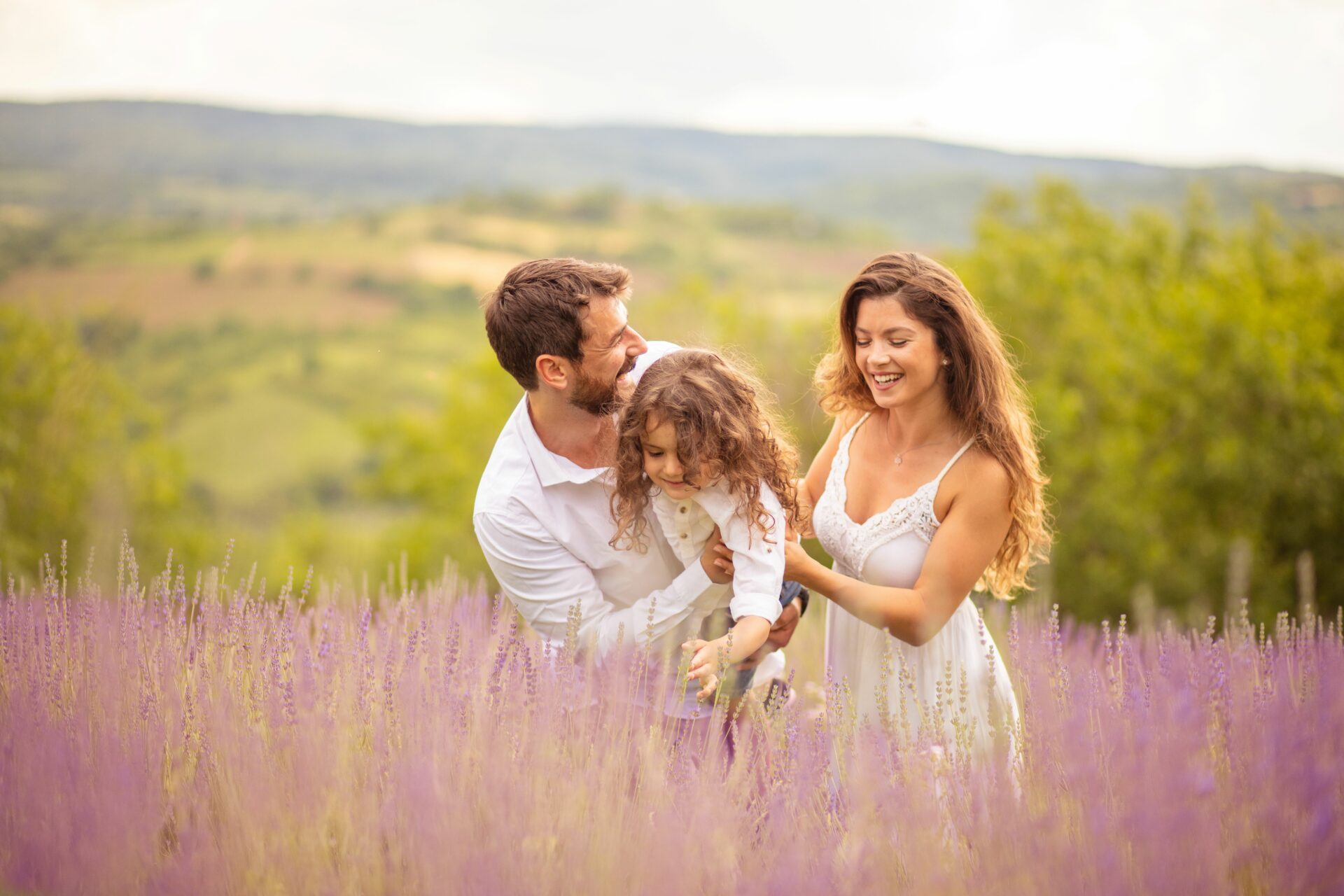 campo de lavanda